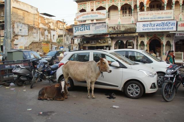 Urlaub in Indien 2016